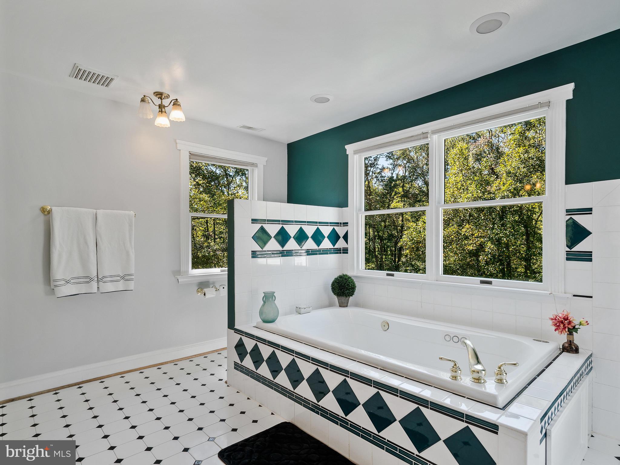3444 Woodbine Road Woodbine, MD 21797 - Photo 49 of 78 a bathroom with a bathtub a sink and a window