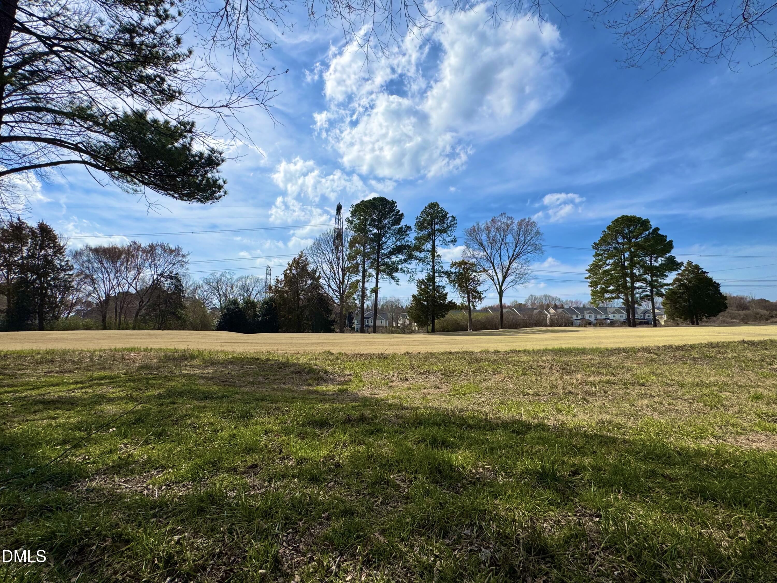 2325 Victoria Park Lane Raleigh, NC 27614 - Photo 17 of 22 a view of a yard