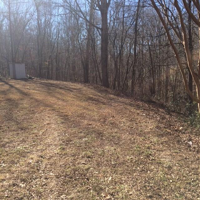 7071 Belton Bridge Road Lula, GA 30554 - Photo 1 of 1 Gallery Image 1