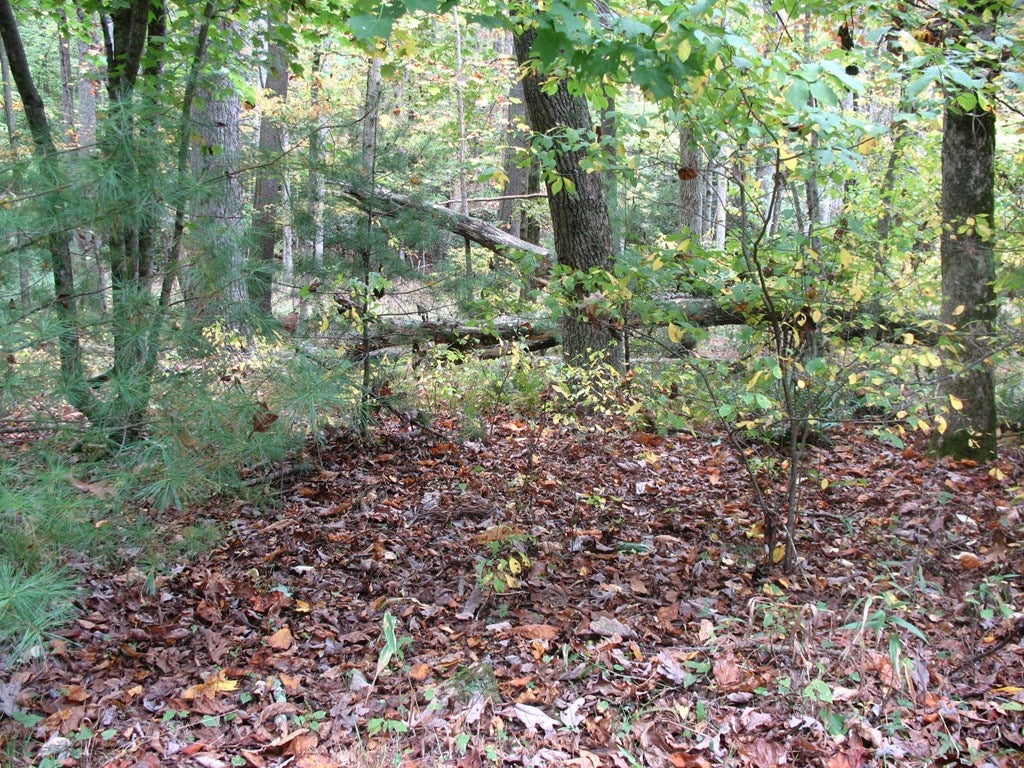 Tbd Millstone Road Fancy Gap, VA 24328 - Photo 3 of 3 Gallery Image 3