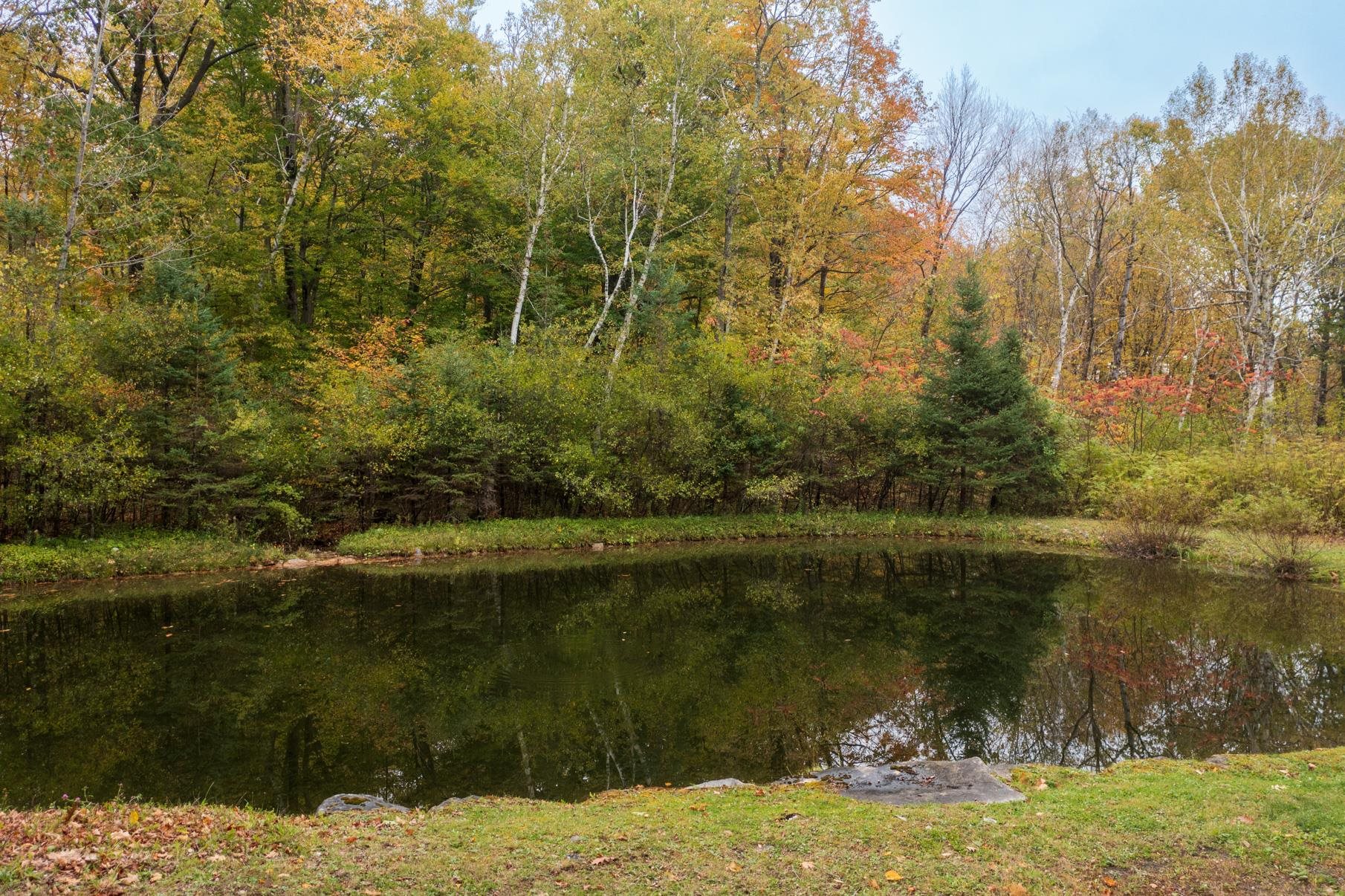 2334 Morse Hill Road Dorset, VT 05251 - Photo 6 of 46