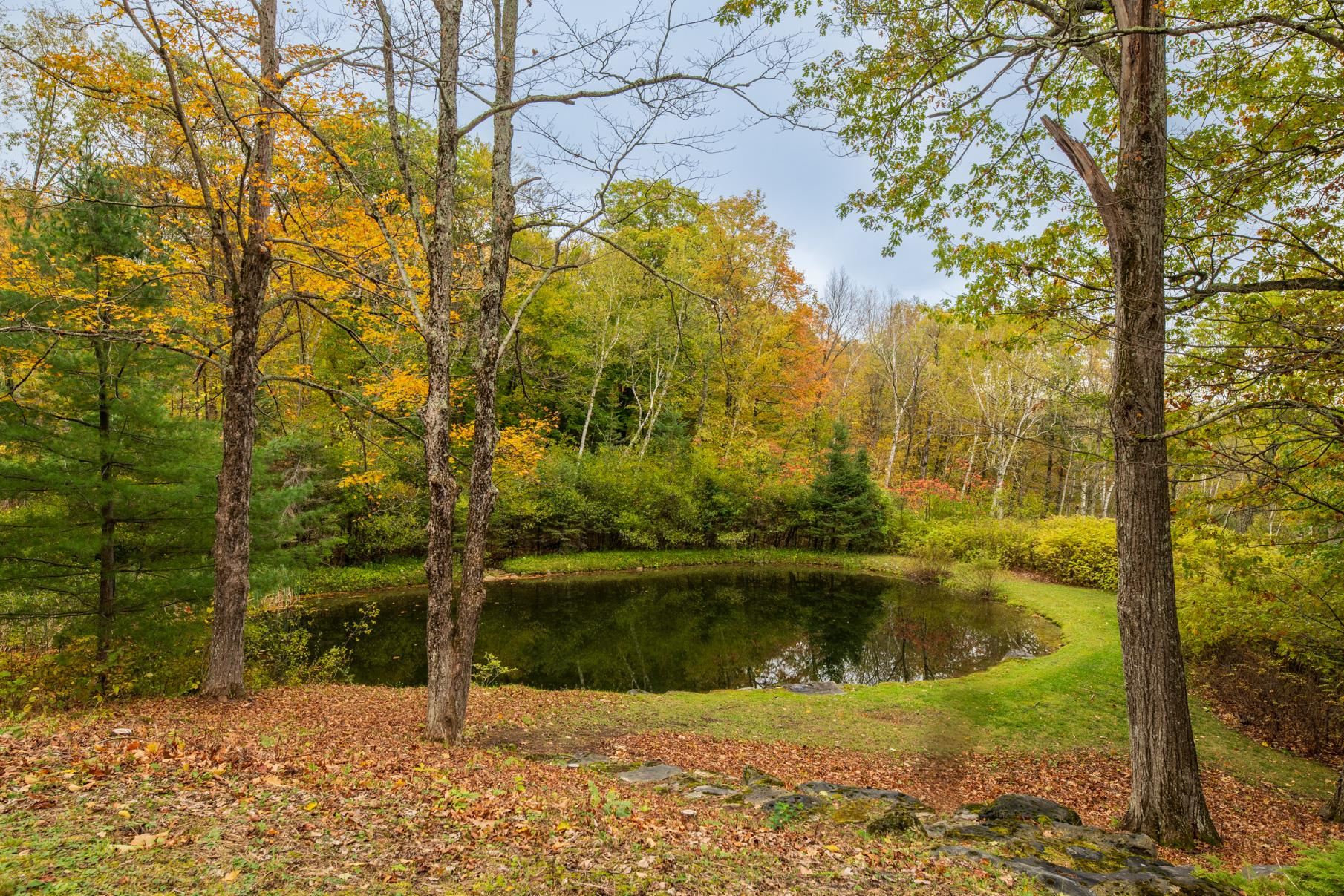 2334 Morse Hill Road Dorset, VT 05251 - Photo 10 of 46