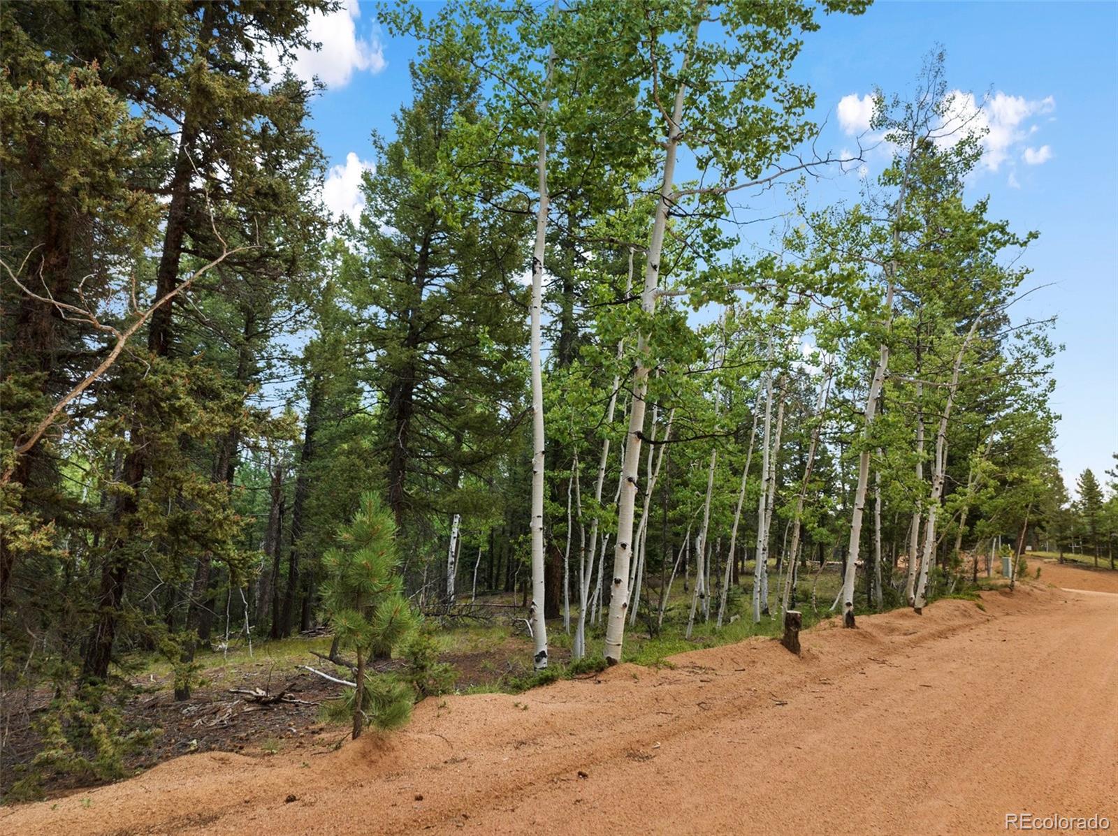 810 Ridge Road Divide, CO 80814 - Photo 25 of 27