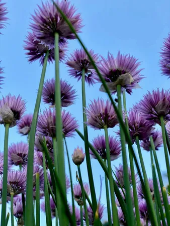 $385,000 | 66 Church Street, Stockton Springs, ME 04981