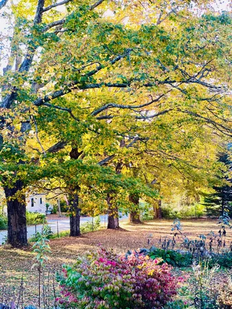 $385,000 | 66 Church Street, Stockton Springs, ME 04981