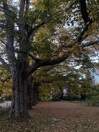 $385,000 | 66 Church Street, Stockton Springs, ME 04981