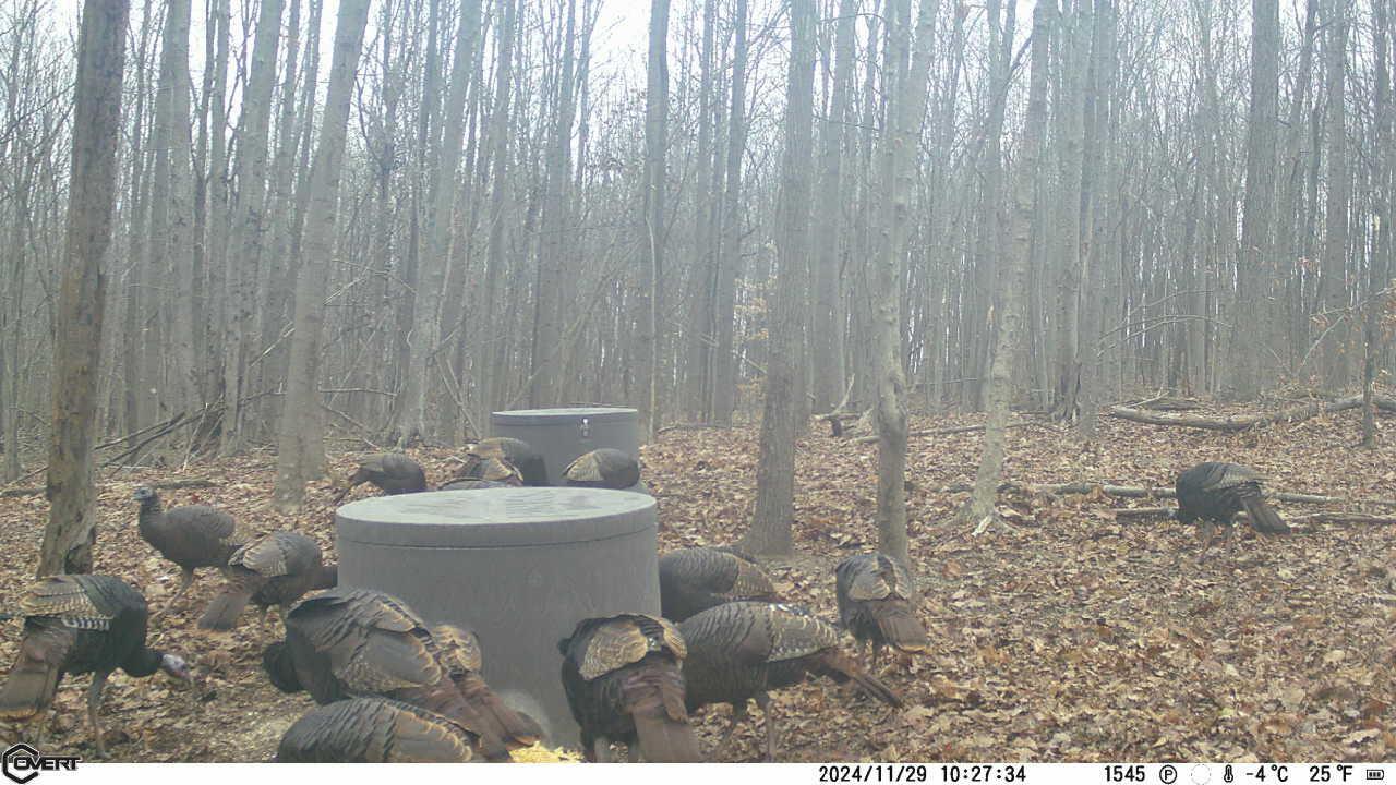 9407 Laurel Ridge Road, Unit 9405 Piketon, OH 45661 - Photo 31 of 34 IMG_6739