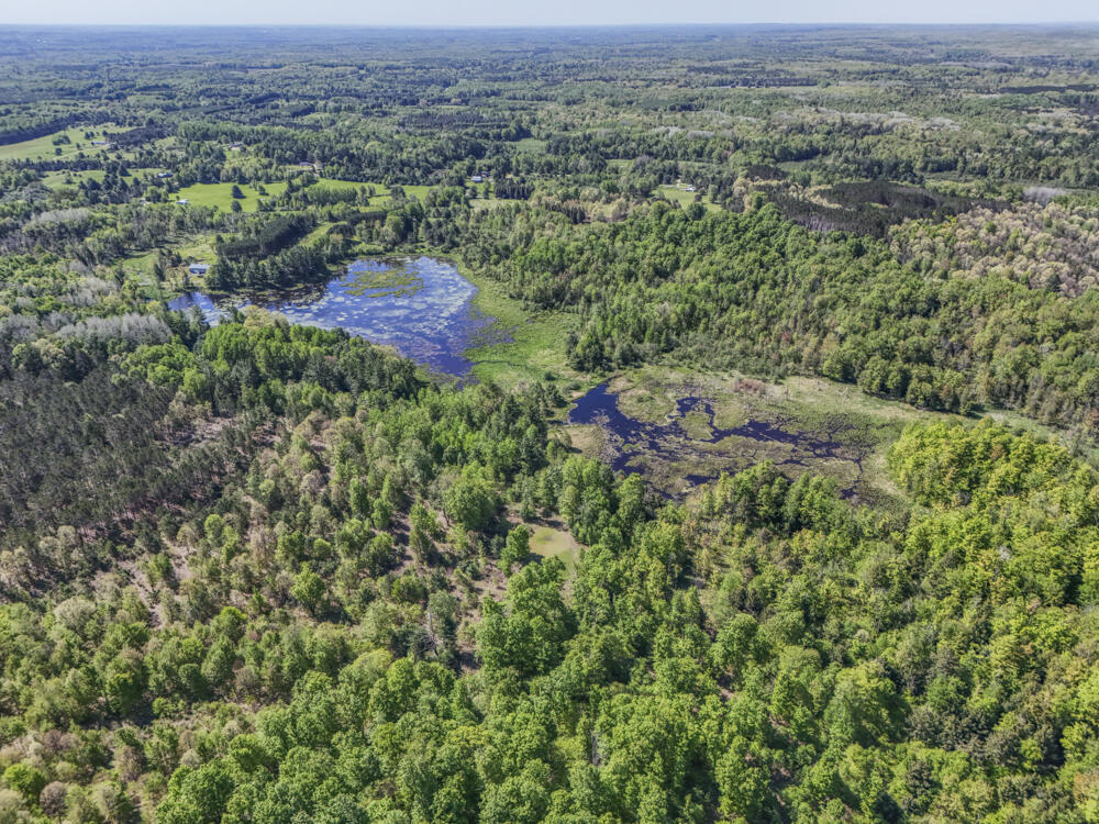 11547 1 Mile Road Leroy, MI 49655 - Photo 40 of 73 32_
