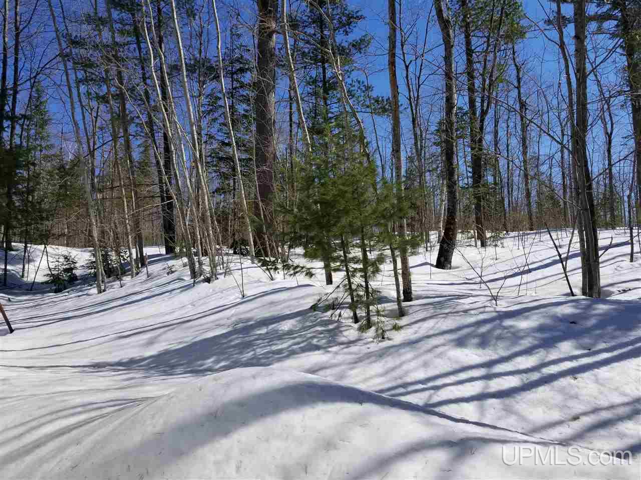 46896 Lower Point Mills Road Hancock, MI 49930 - Photo 24 of 24 Gallery Image 24
