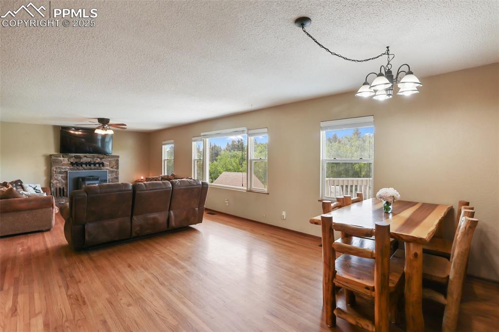 244 Pine Bluff Road Divide, CO 80814 - Photo 14 of 49