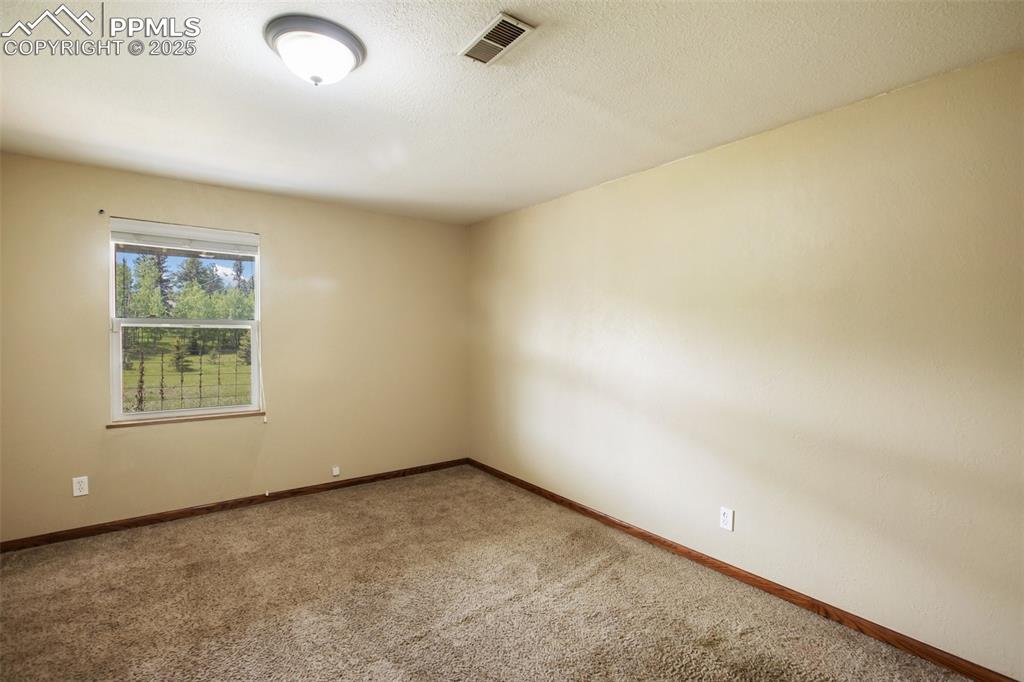 244 Pine Bluff Road Divide, CO 80814 - Photo 28 of 49