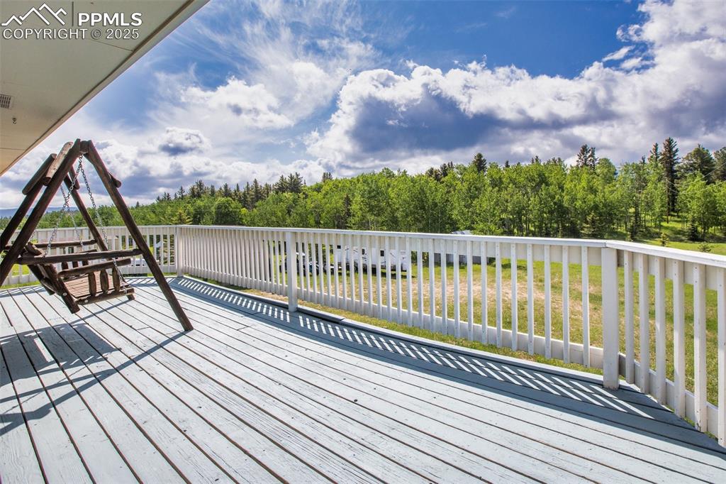 244 Pine Bluff Road Divide, CO 80814 - Photo 39 of 49