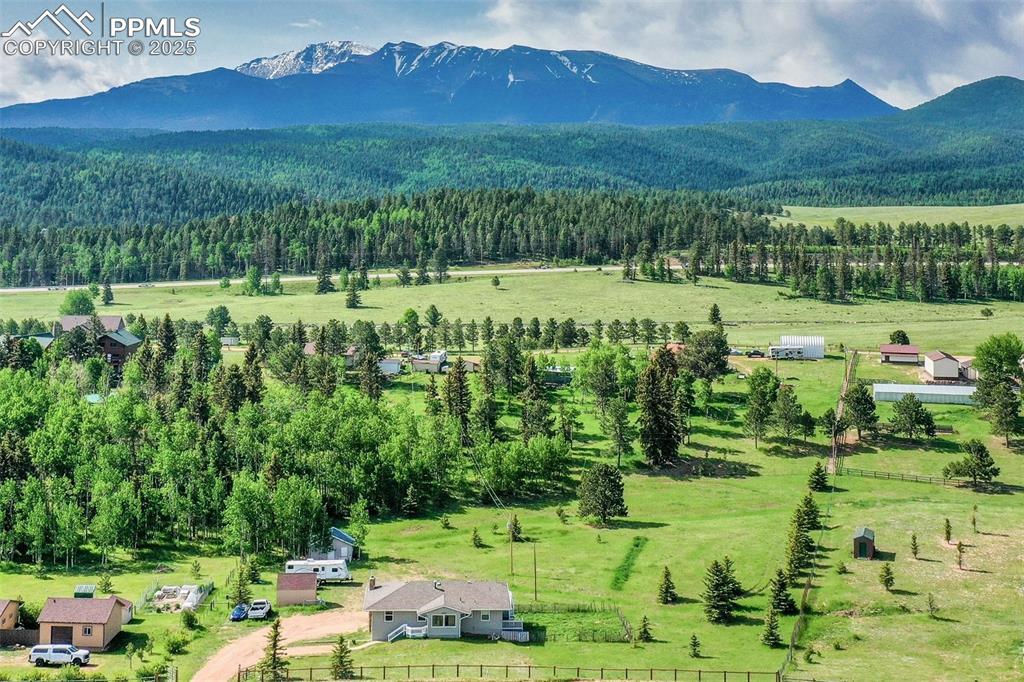 244 Pine Bluff Road Divide, CO 80814 - Photo 41 of 49