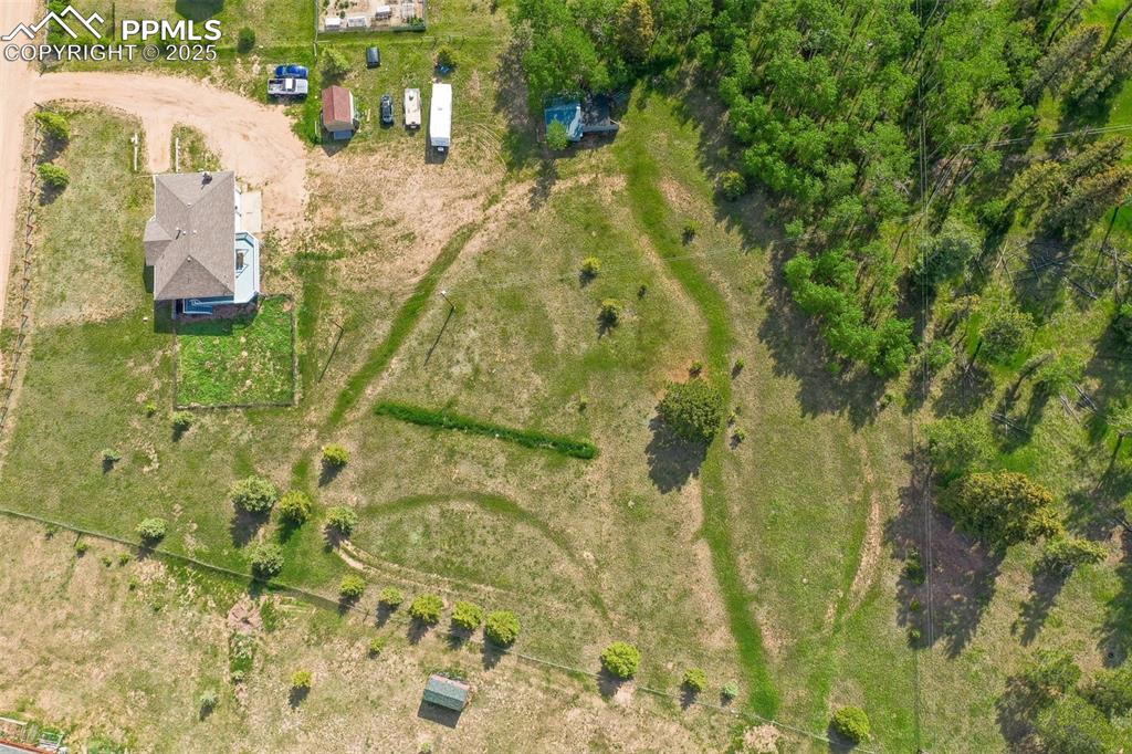 244 Pine Bluff Road Divide, CO 80814 - Photo 42 of 49