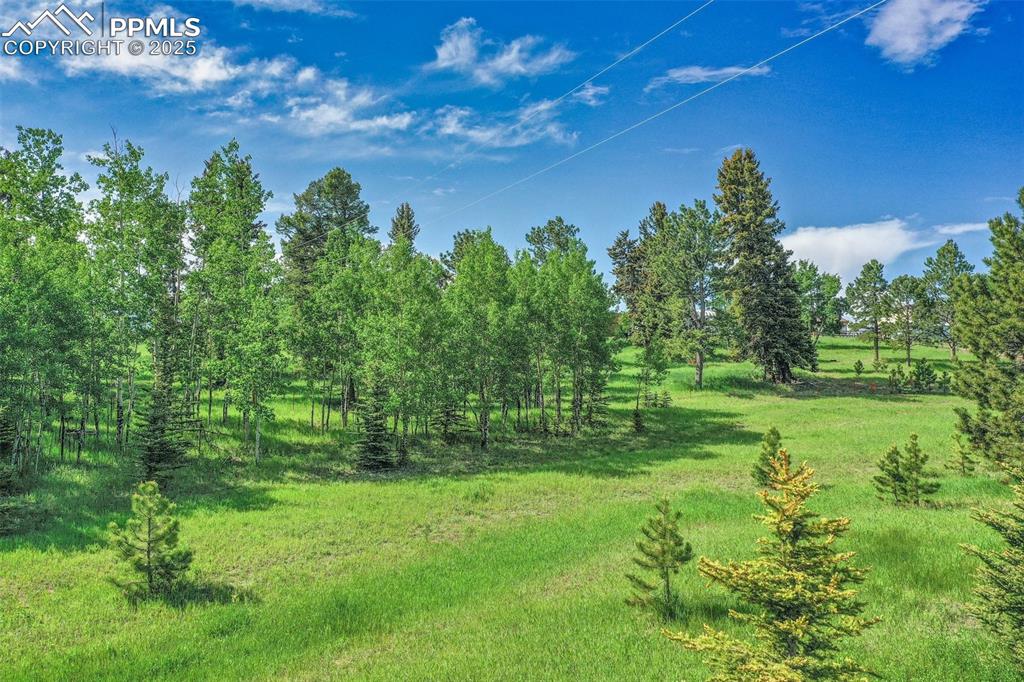 244 Pine Bluff Road Divide, CO 80814 - Photo 6 of 49