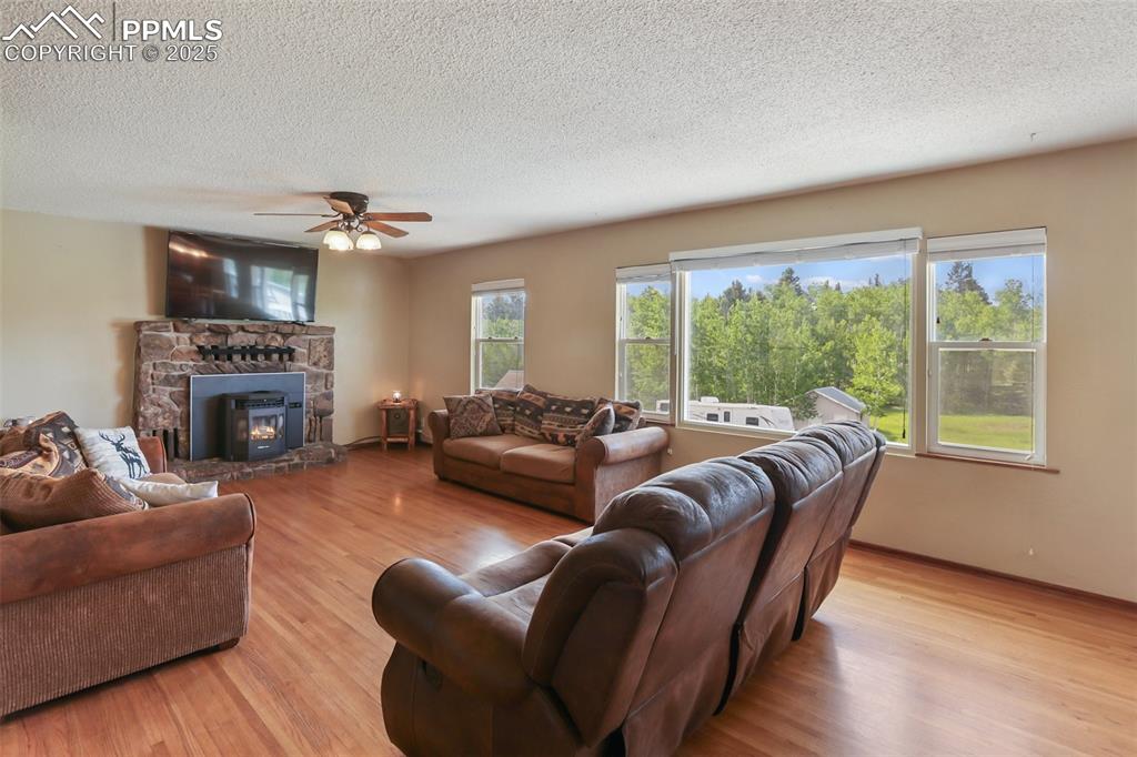 244 Pine Bluff Road Divide, CO 80814 - Photo 7 of 49