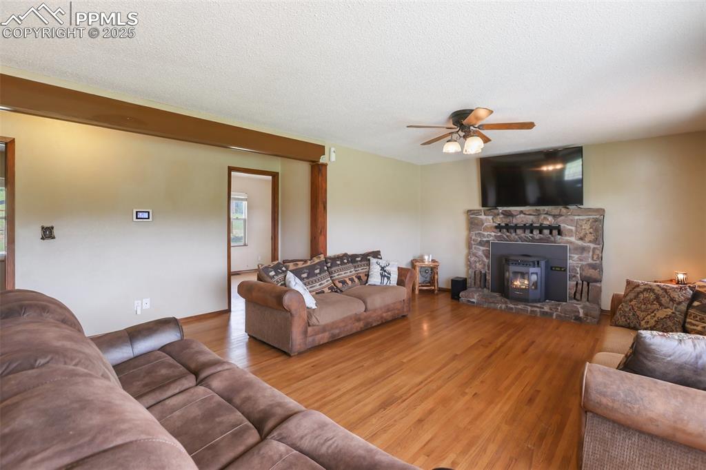 244 Pine Bluff Road Divide, CO 80814 - Photo 8 of 49