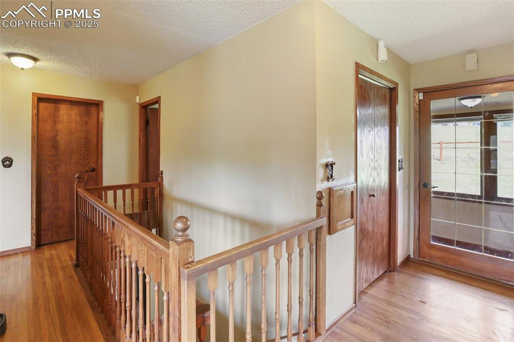 244 Pine Bluff Road Divide, CO 80814 - Photo 10 of 49