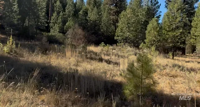 $175,000 | Lot 23 Trail Creek Court, Idaho City, ID 83631