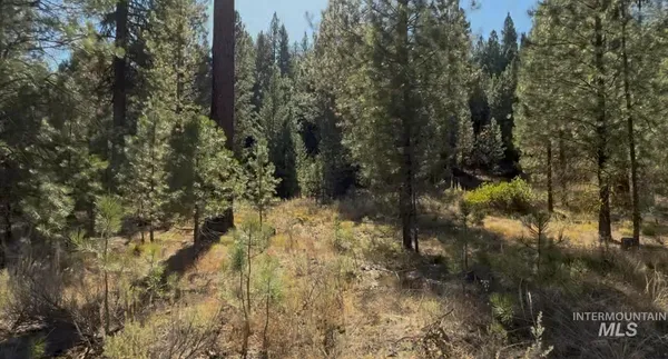 $175,000 | Lot 23 Trail Creek Court, Idaho City, ID 83631