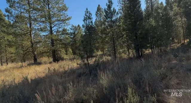 $175,000 | Lot 23 Trail Creek Court, Idaho City, ID 83631