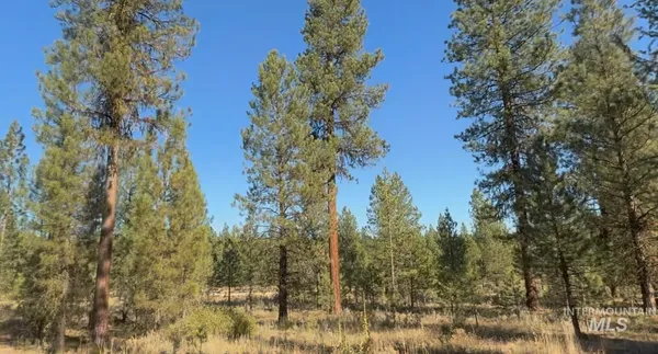 $175,000 | Lot 23 Trail Creek Court, Idaho City, ID 83631