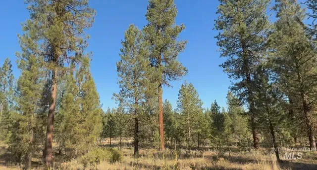 $175,000 | Lot 23 Trail Creek Court, Idaho City, ID 83631