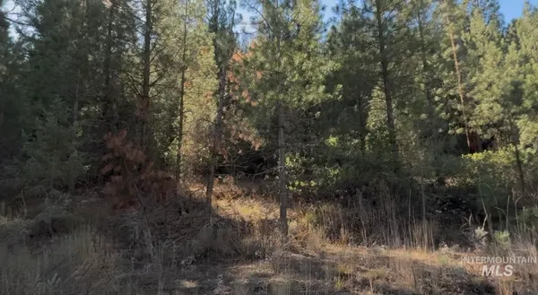 $175,000 | Lot 23 Trail Creek Court, Idaho City, ID 83631