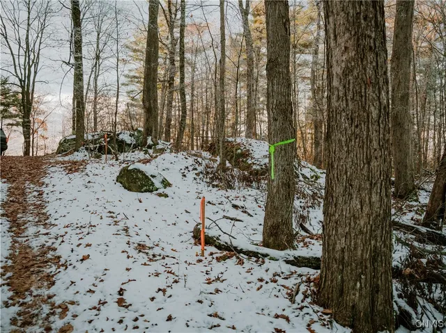 $139,000 | Lot 3 Dewey Point Lane, Harrisville, NY 13648