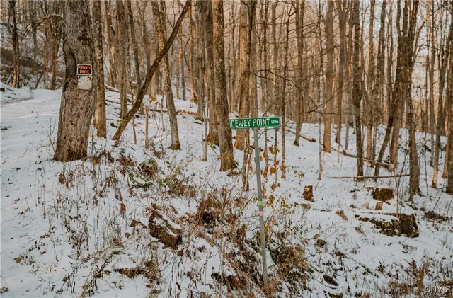 $139,000 | Lot 3 Dewey Point Lane, Harrisville, NY 13648