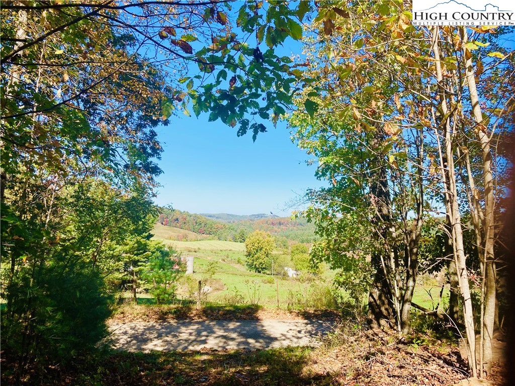 5 Jr Dairy Road Ennice, NC 28623 - Photo 2 of 9