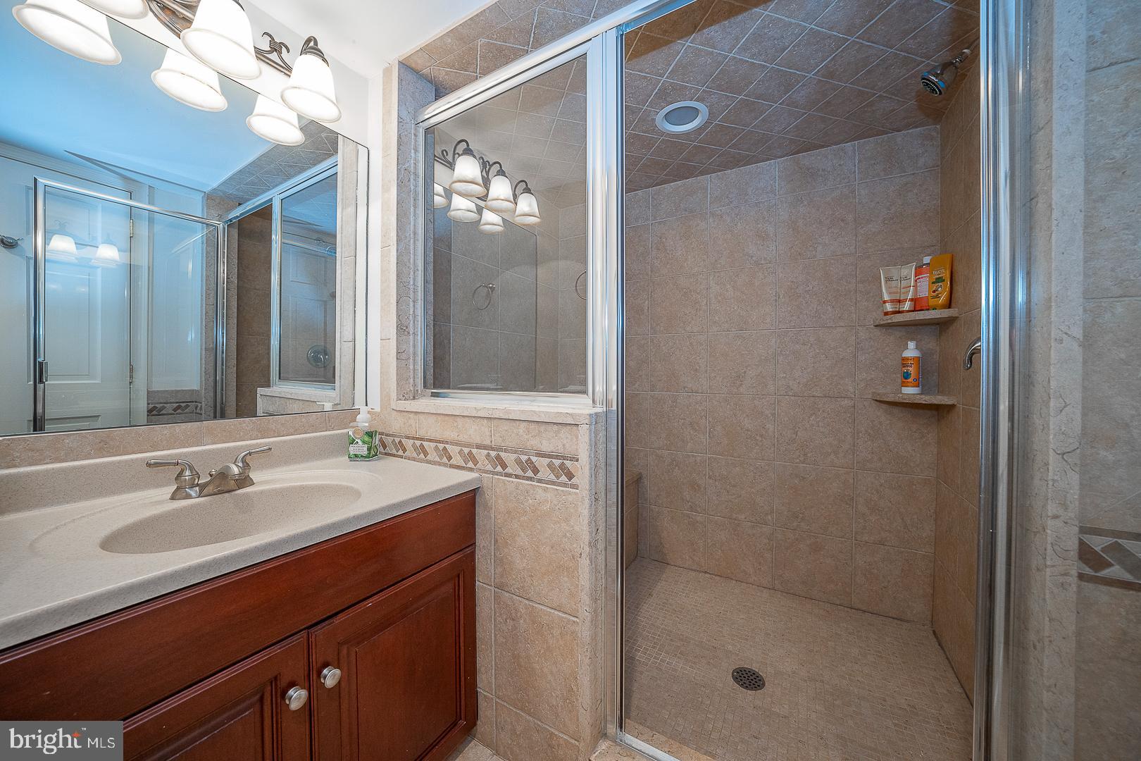 938 Ivycroft Road Wayne, PA 19087 - Photo 54 of 72 Full Bath - Lower level