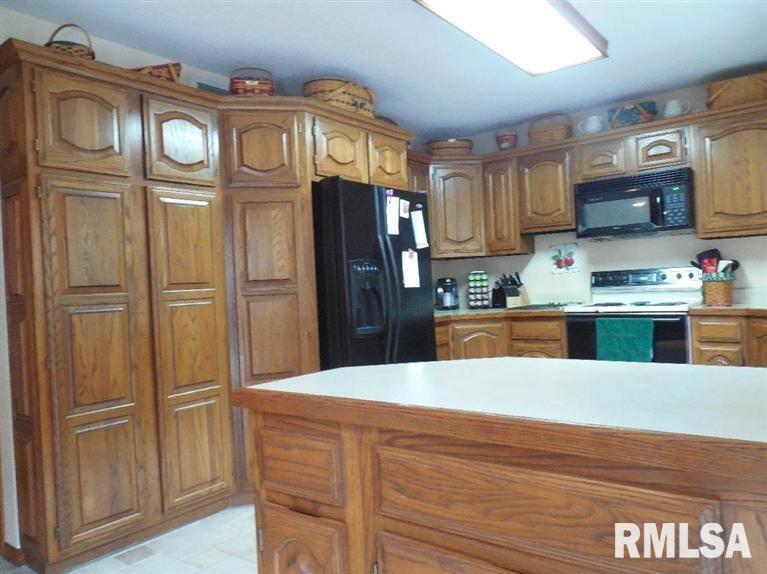 9735 Albany Road Erie, IL 61250 - Photo 14 of 24