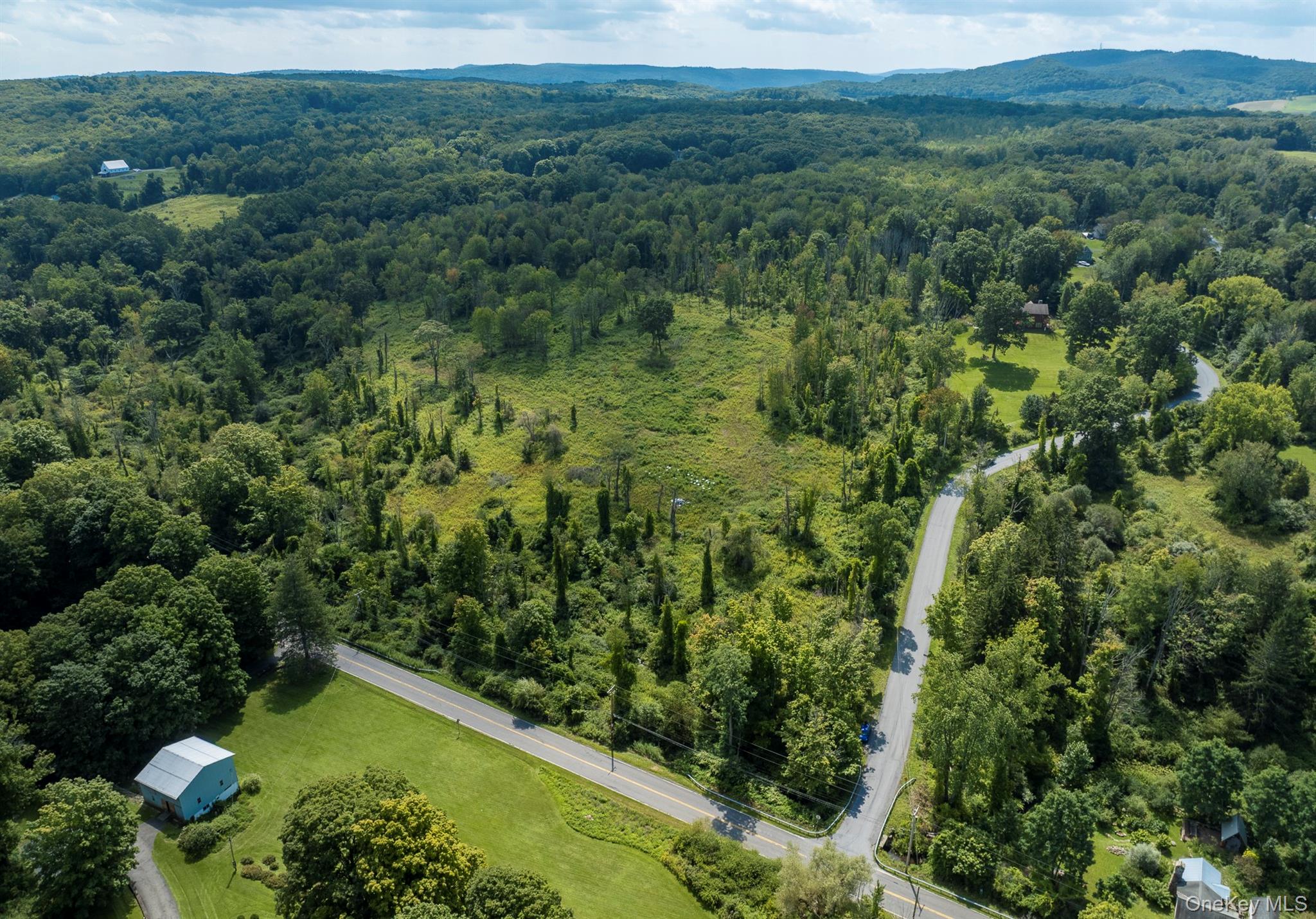 Camby Road Millbrook, NY 12545 - Photo 4 of 30 Gallery Image 4