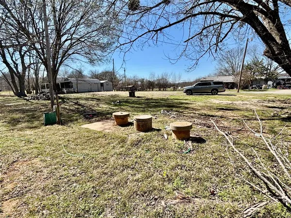 a view of a yard with a tree