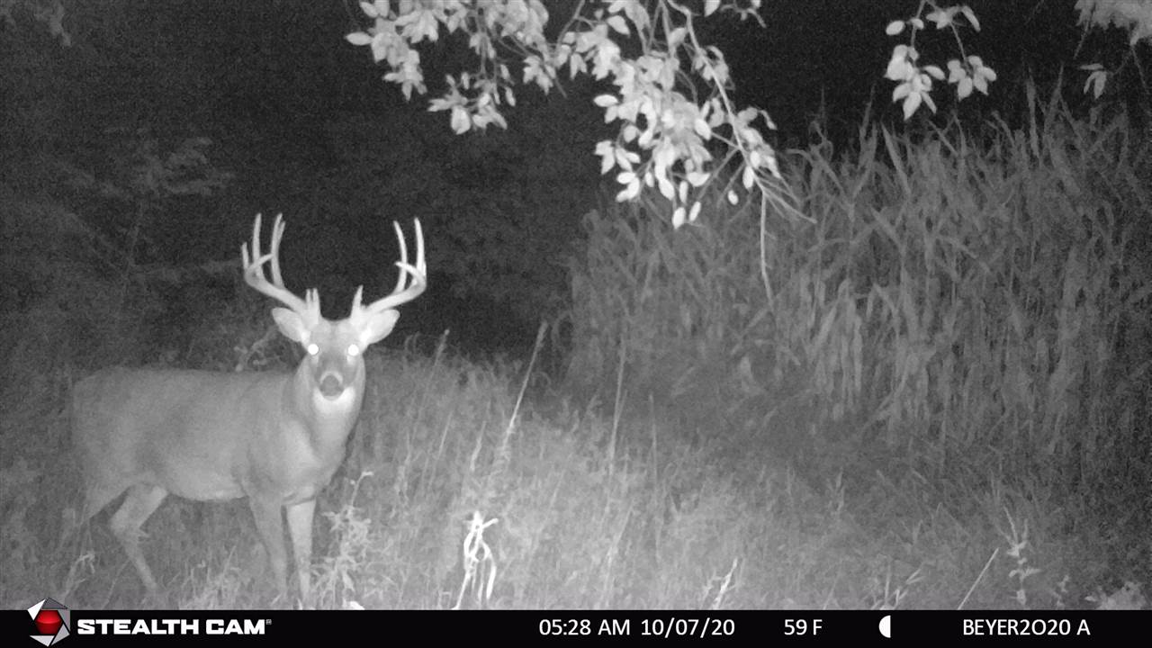 167 East Reusch Road Elizabeth, IL 61028 - Photo 29 of 30 Gallery Image 29