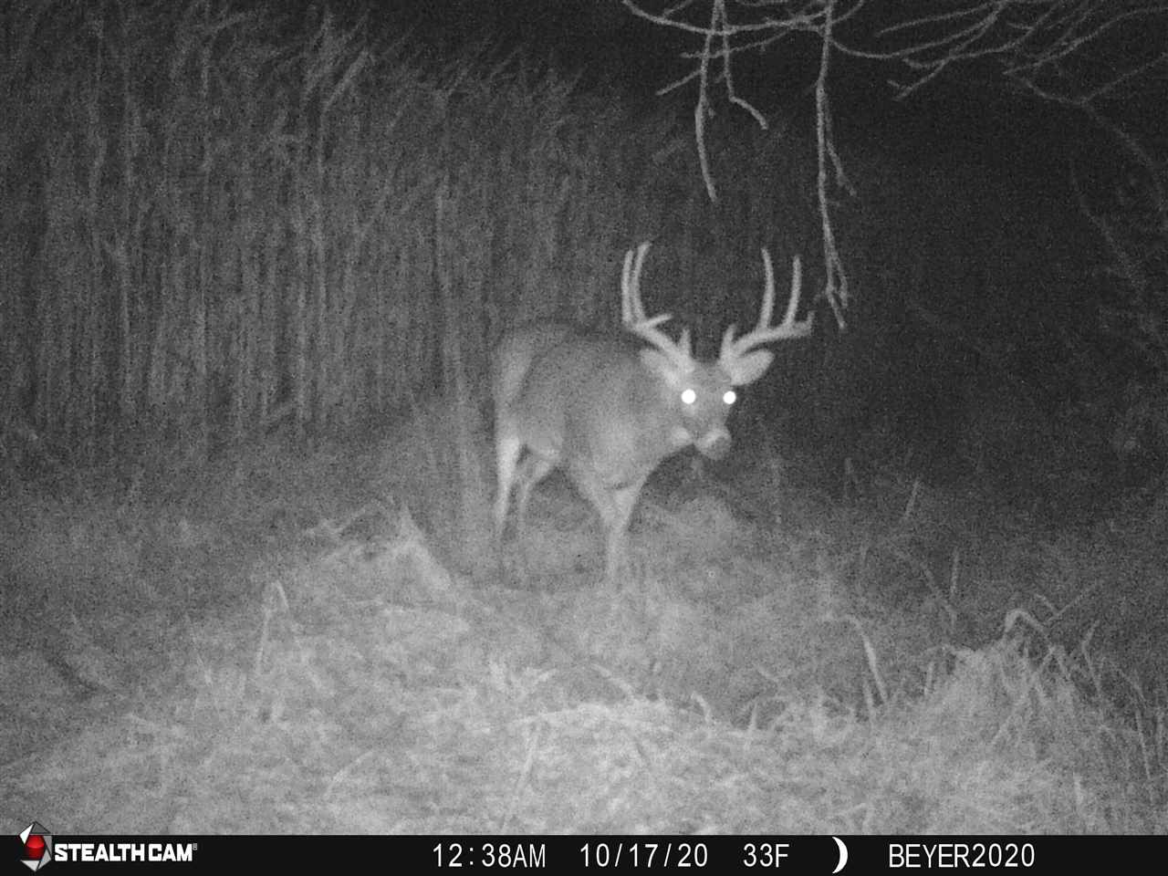 167 East Reusch Road Elizabeth, IL 61028 - Photo 30 of 30 Gallery Image 30