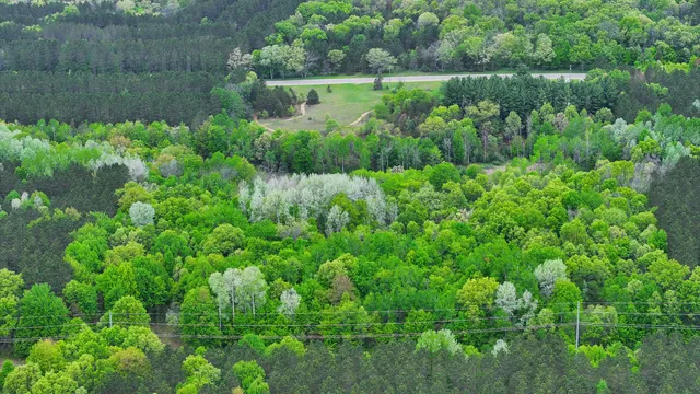 $74,900 | 1 West 1 Mile Road, White Cloud, MI 49349