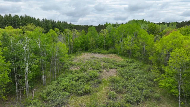 $74,900 | 1 West 1 Mile Road, White Cloud, MI 49349