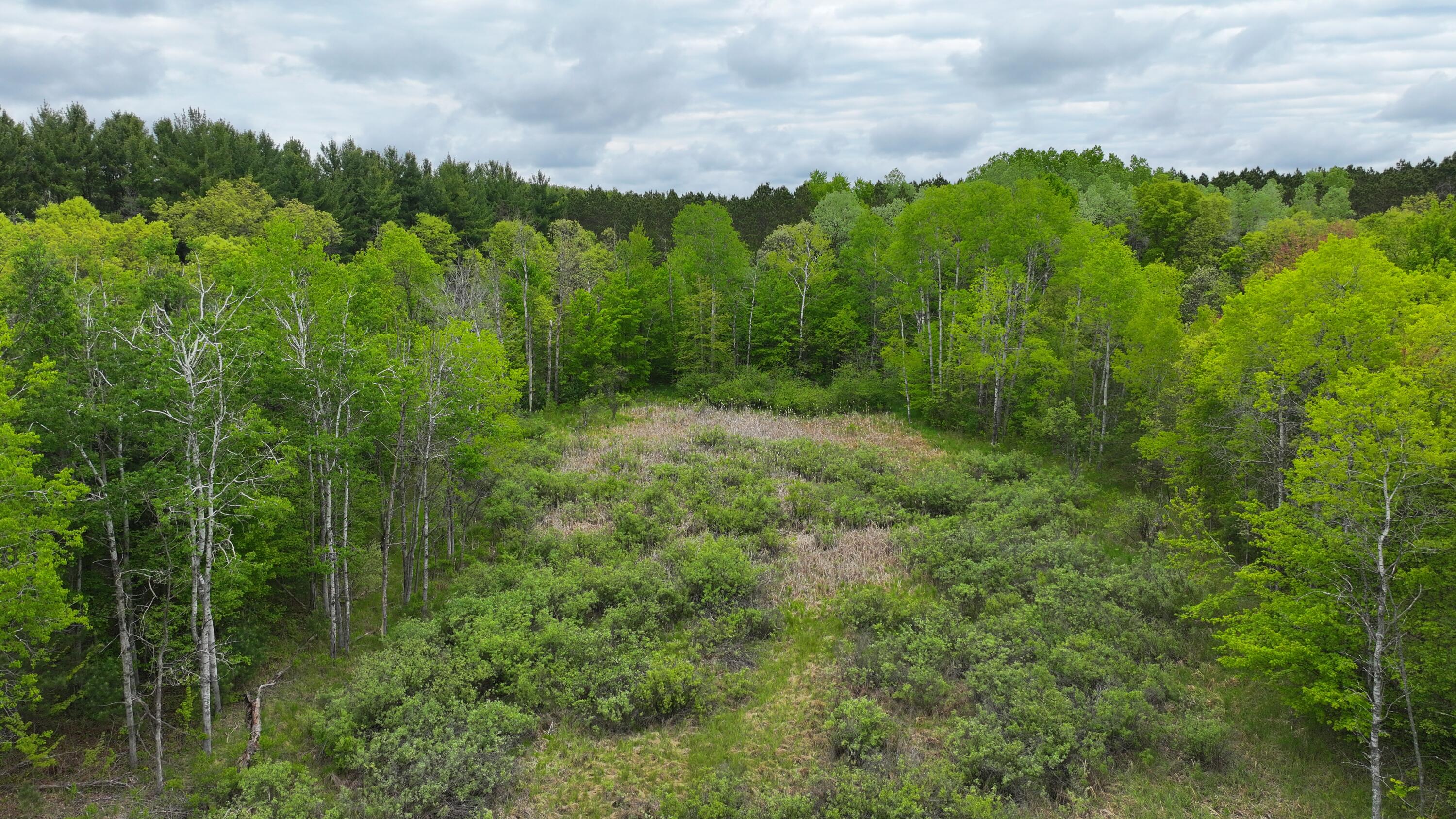 1 West 1 Mile Road White Cloud, MI 49349 - Photo 2 of 5 9