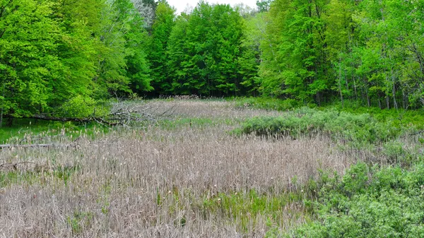 $68,000 | 1 West 1 Mile Road, White Cloud, MI 49349