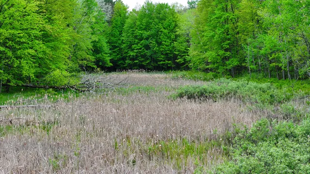 $74,900 | 1 West 1 Mile Road, White Cloud, MI 49349