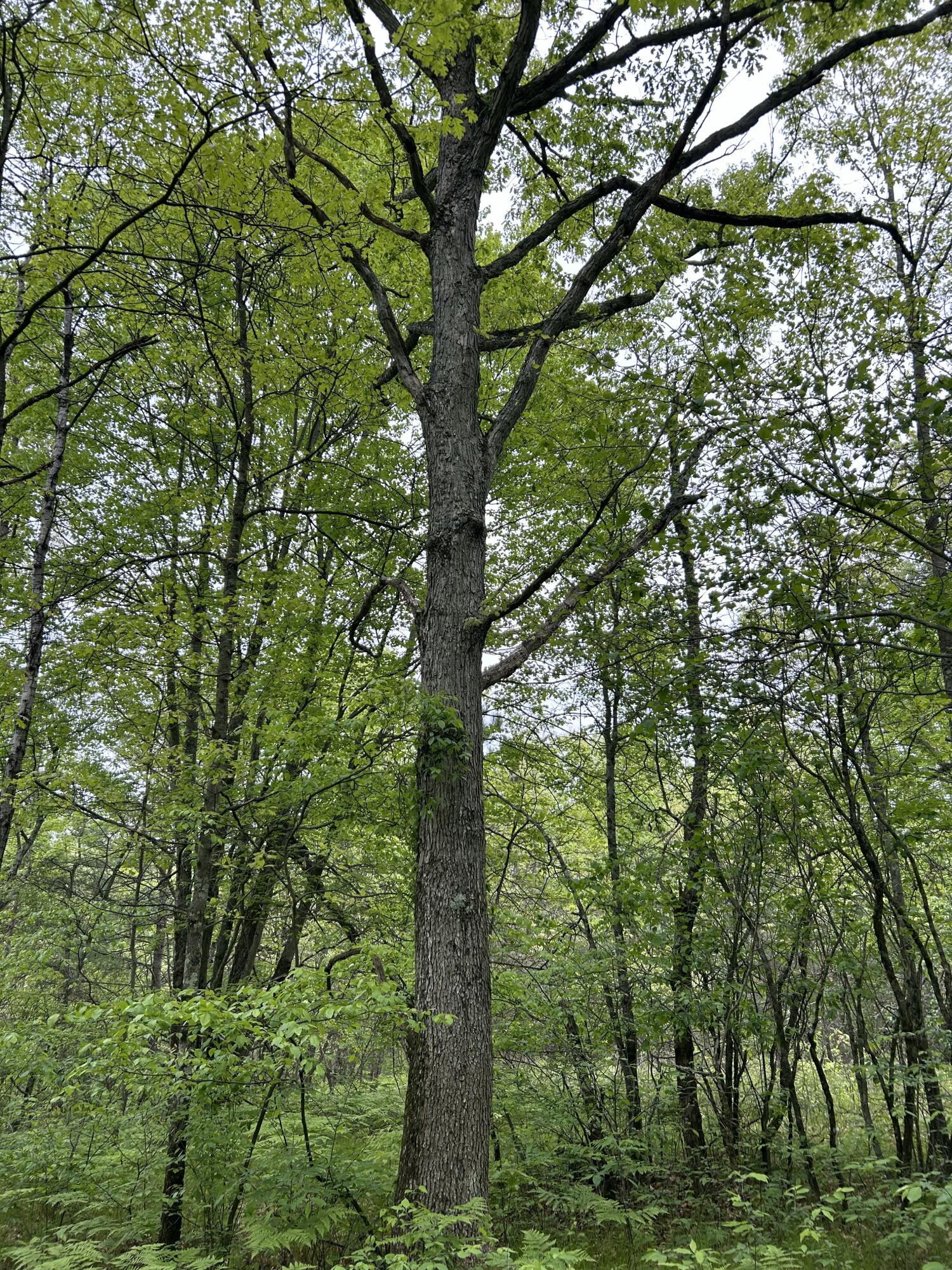 1 West 1 Mile Road White Cloud, MI 49349 - Photo 4 of 5 14