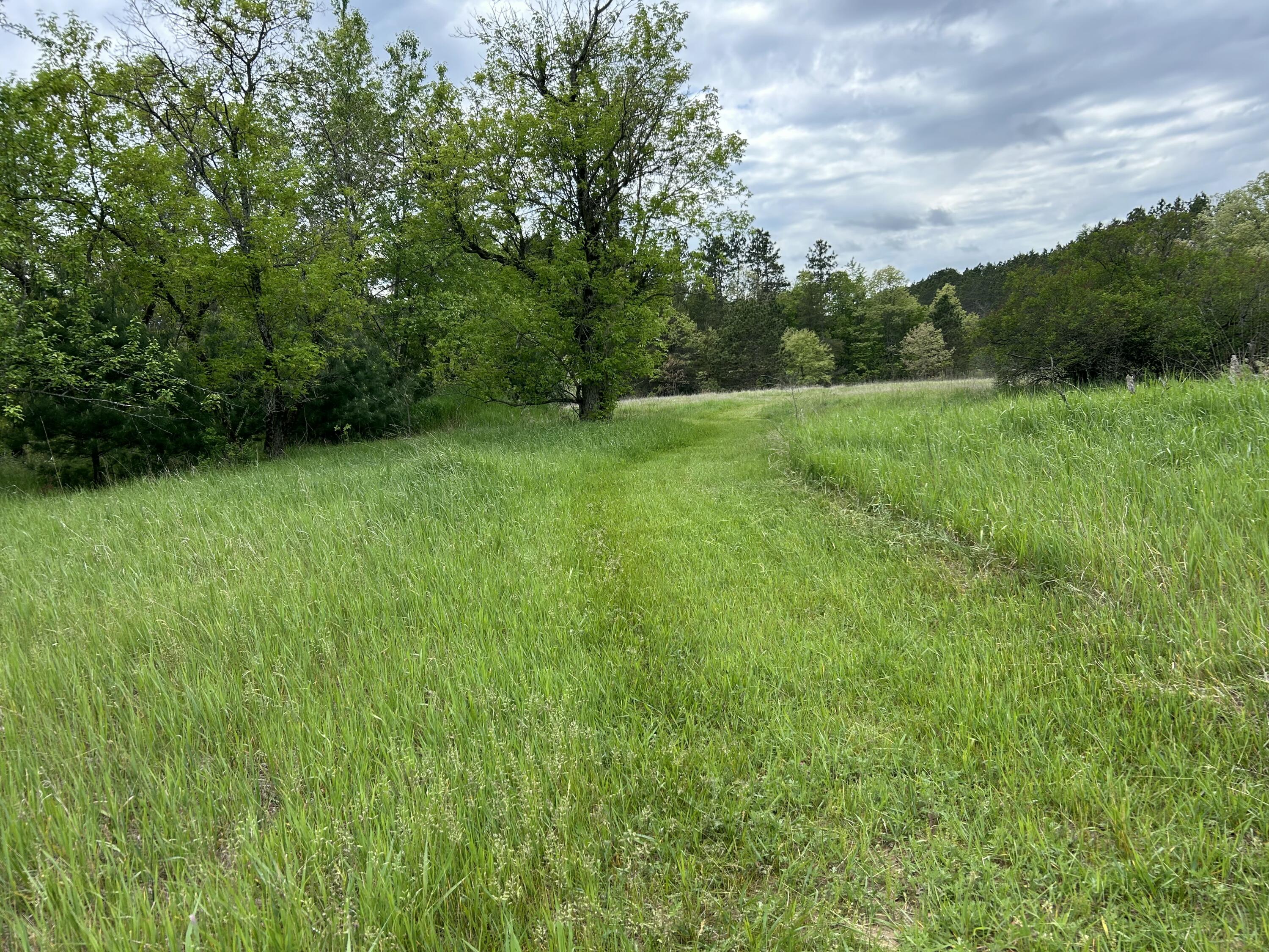 1 West 1 Mile Road White Cloud, MI 49349 - Photo 5 of 5 17
