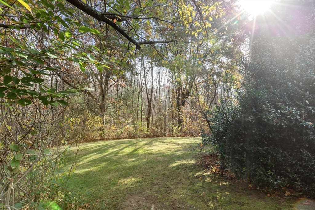 21 Spruce Pond Road, Unit 21 Franklin, MA 02038 - Photo 30 of 30 Gallery Image 30