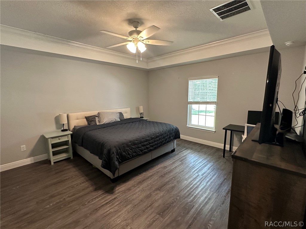 8434 North Vardon Road Citrus Springs, FL 34434 - Photo 12 of 29 Master bedroom with tray ceilings