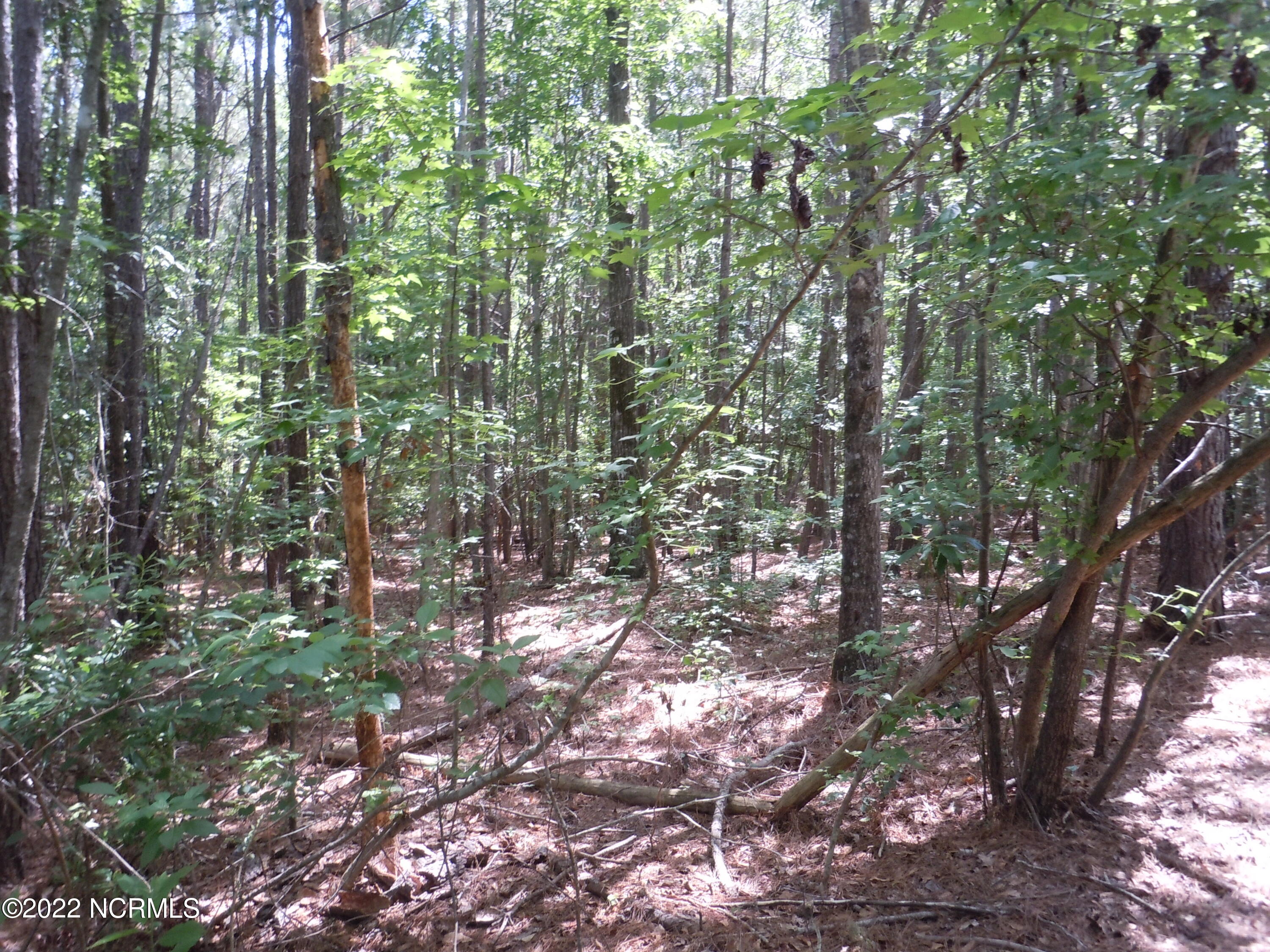 5228 Will Inman Road Tabor City, NC 28463 - Photo 10 of 11 DSCN6585