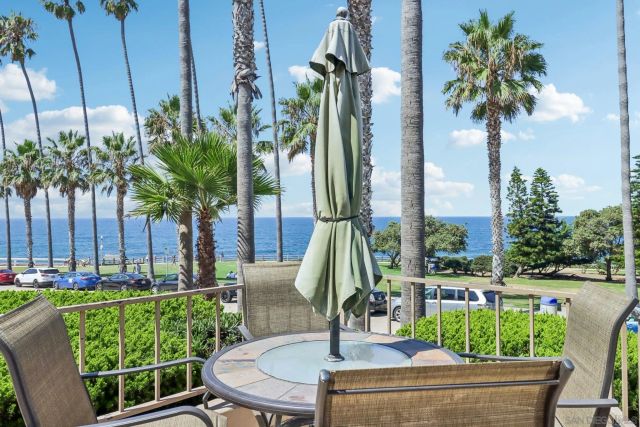a living room with furniture a potted plant and a large window