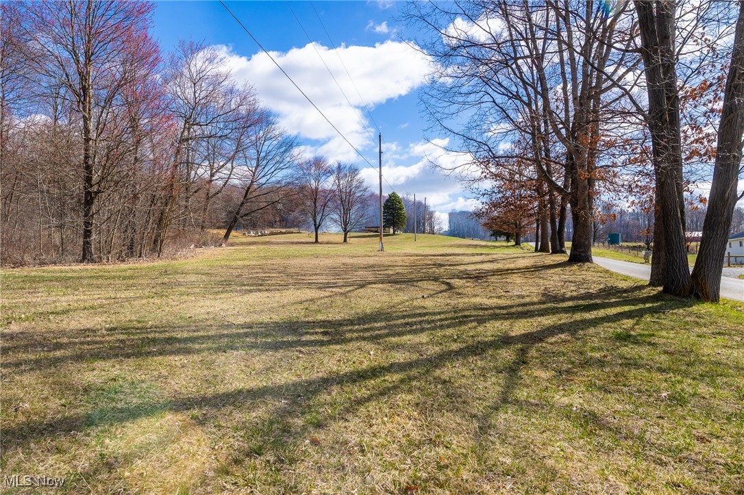 Arney Road Navarre, OH 44662 - Photo 2 of 33 View of yard