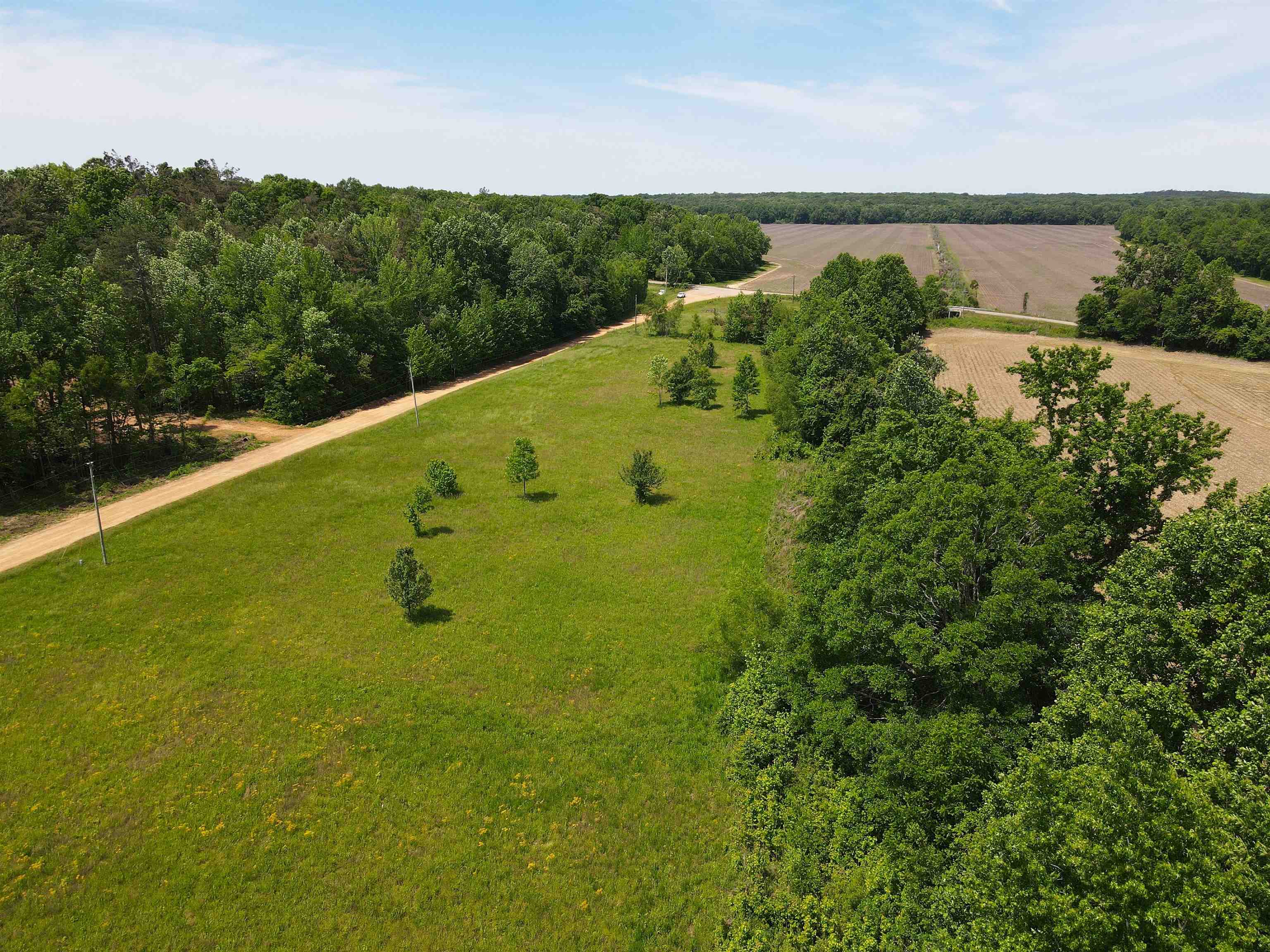 Charles Ward Way Selmer, TN 38375 - Photo 6 of 14